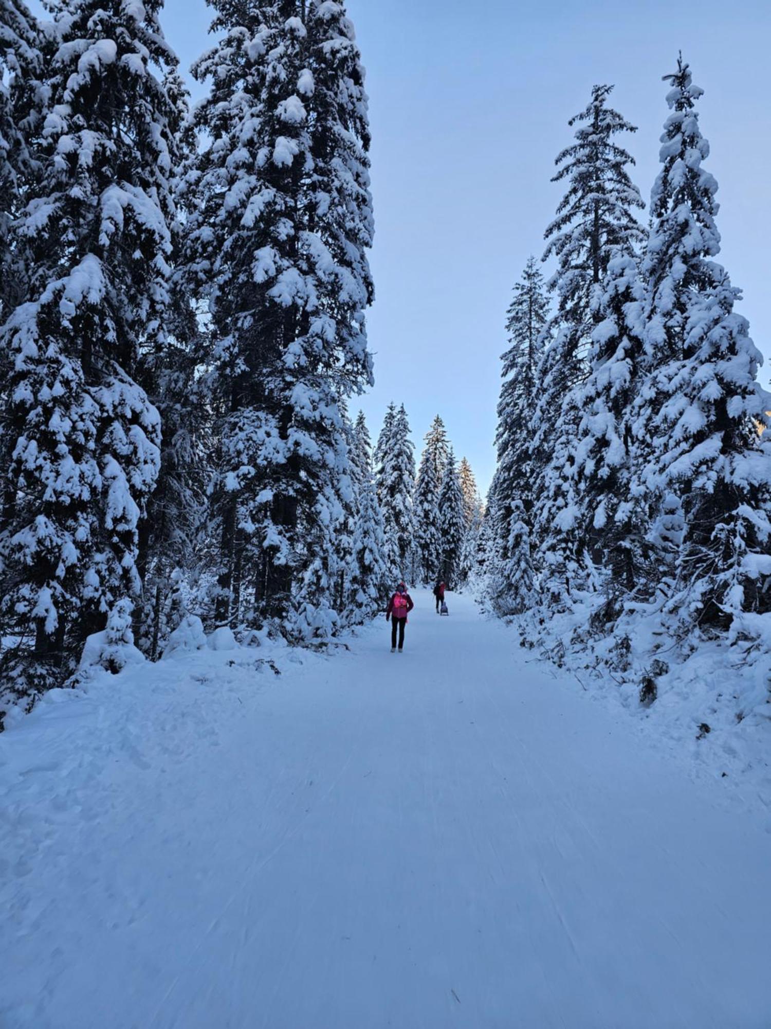 Panoramablick Exklusiv Daire Villach Dış mekan fotoğraf